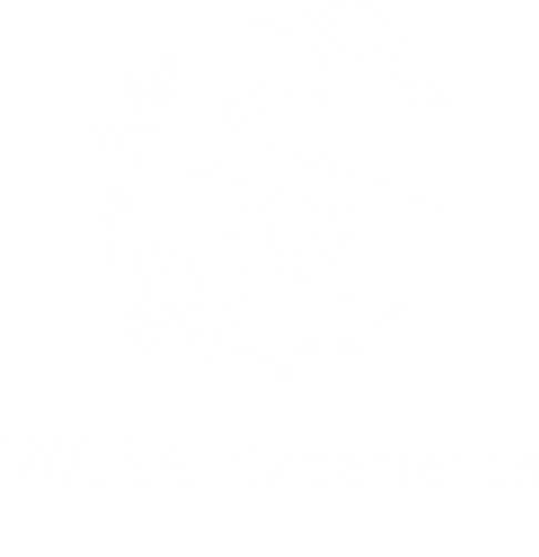 WARA Experience｜富士山之外