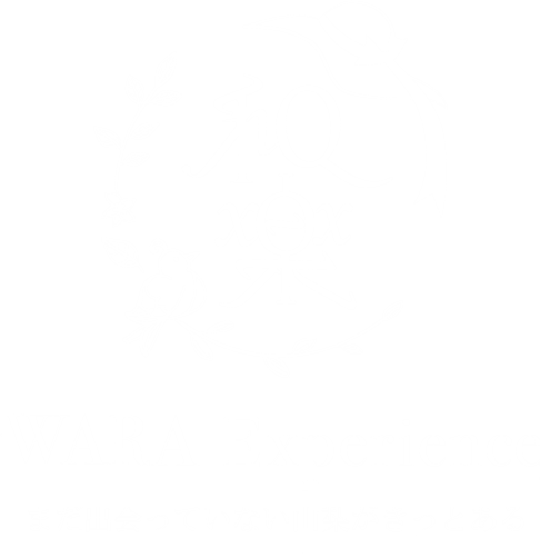 WARA Experience｜富士山のその先へ